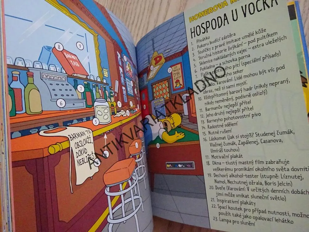 HOMEROVA KNIHA, SIMPSONOVA KNIHOVNA MOUDROSTI, SIMPSONOVI, **an