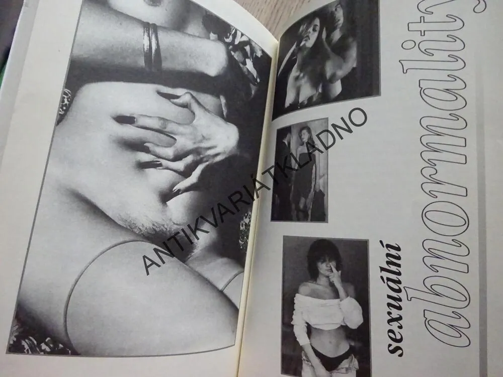 UMĚNÍ LÁSKY ANEB JAK DOCÍLIT ÚSPĚCHU A ŠTĚSTÍ V INTIMNÍM ŽIVOTĚ, **an