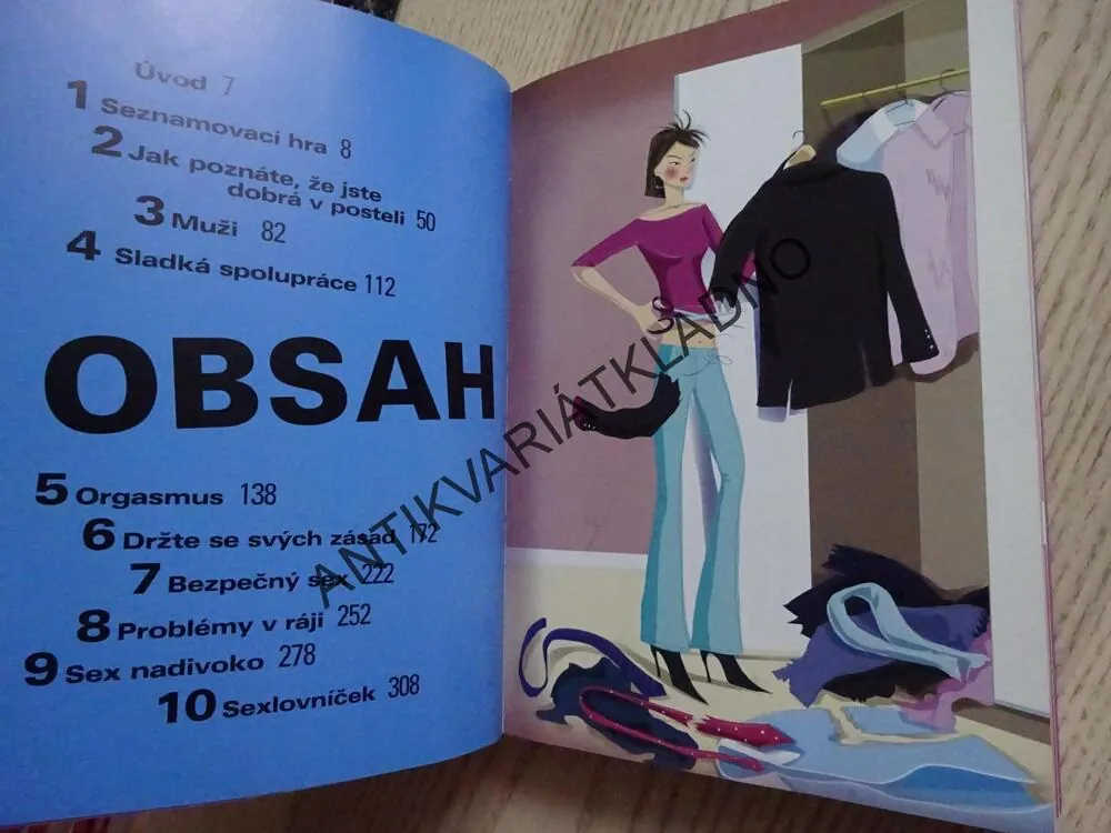 SEX NEJEN VE MĚSTĚ, LISA SUSSMANOVÁ, **an