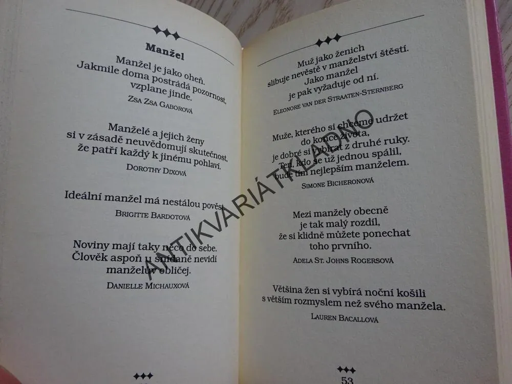 SLOVNÍK ZLOBIVÝCH HOLEK, **an