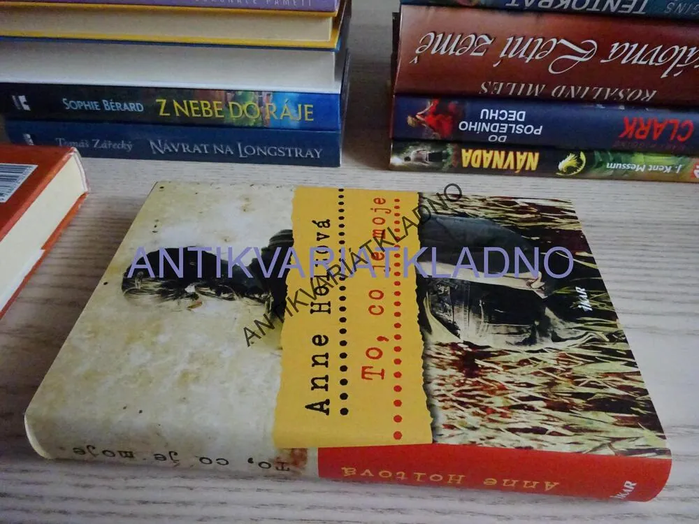 TO, CO JE MOJE, ANNE HOLTOVÁ, **an
