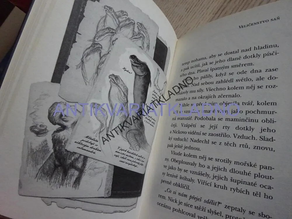KRONIKA RODU SPIDERWICKŮ 3, VELIČENSTVO SAŇ, TONY DITERLIZZI, HOLLY BLACKOVÁ, **an