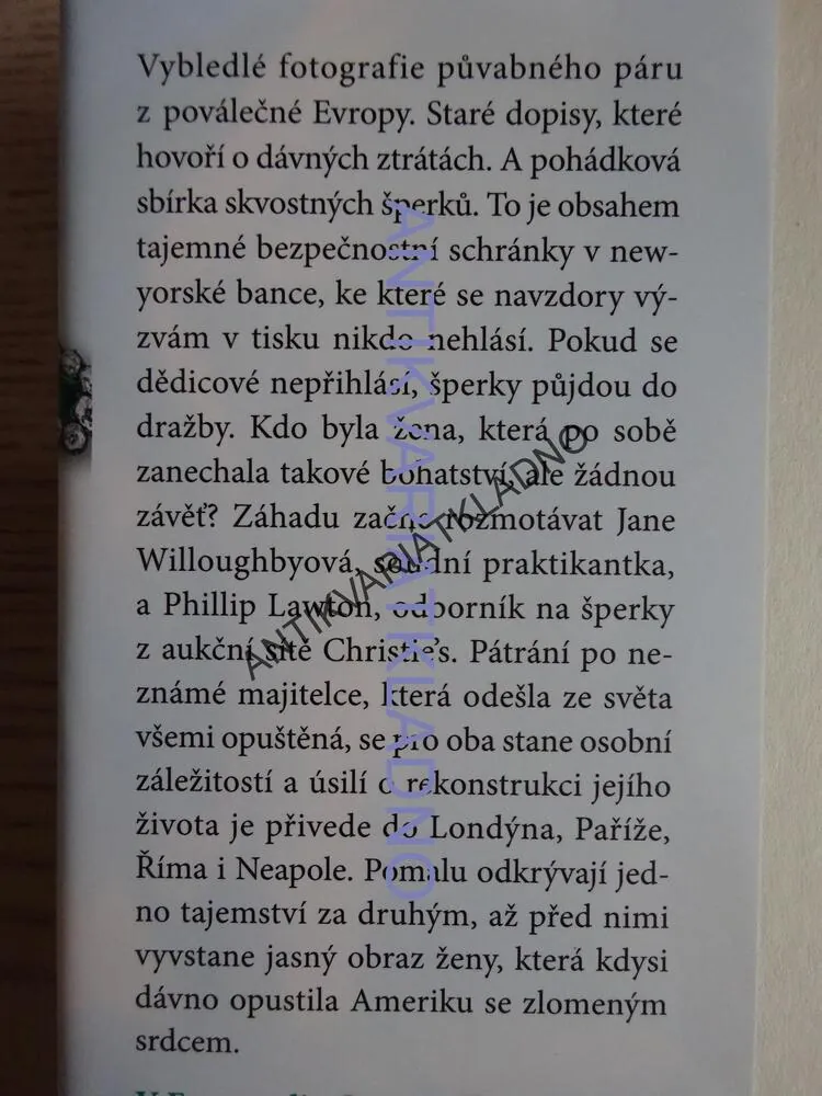 DRAŽBA, DANIELLE STEELOVÁ, **an