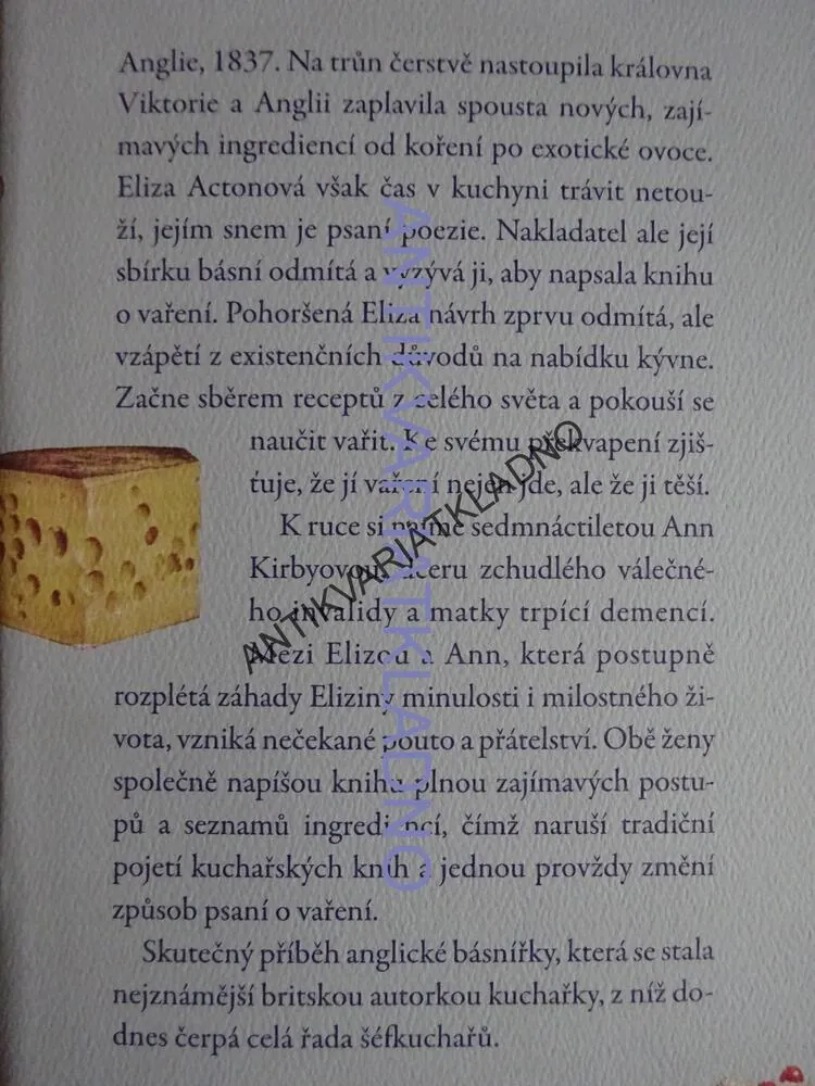 ANGLICKÁ KUCHYNĚ SLEČNY ELIZY, ANNABEL ABBSOVÁ, **an