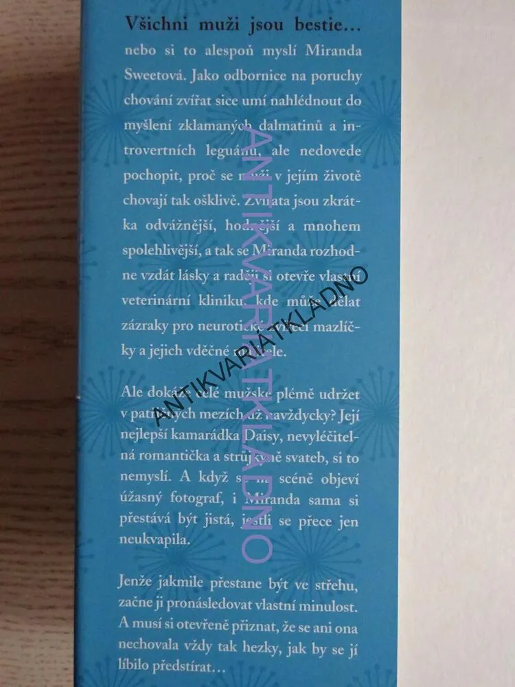 MALÉRY S MAZLÍČKY, ISABEL WOLFFOVÁ, **an