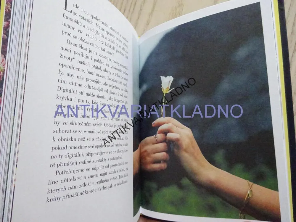 OFF - DIGITÁLNÍ DETOX PRO LEPŠÍ ŽIVOT, TANYA GOODINOVÁ, **an