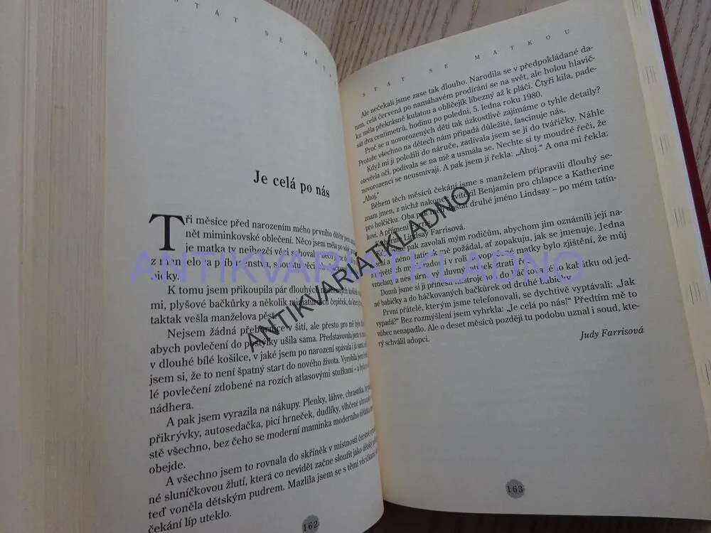SLEPIČÍ POLÉVKA PRO MAMINKU, JACK CANFIELD, MARK VICTOR HANSEN, **an
