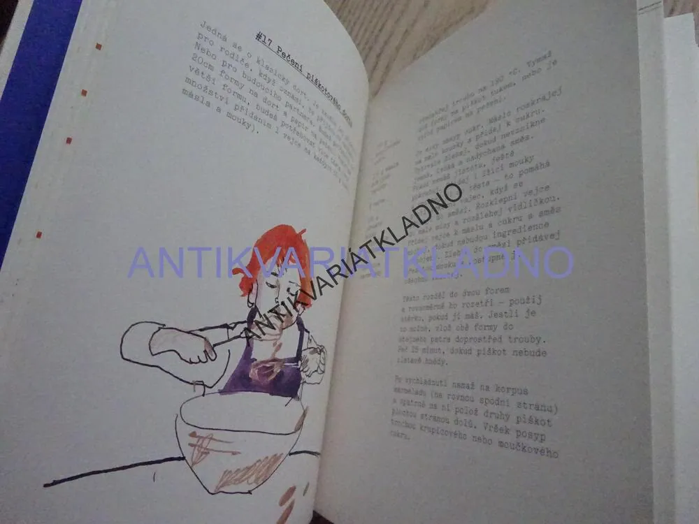 50 VĚCÍ, KTERÉ JSEM TI MĚLA ŘÍCT, RADY DO ŽIVOTA, POLLY POWELL, **an