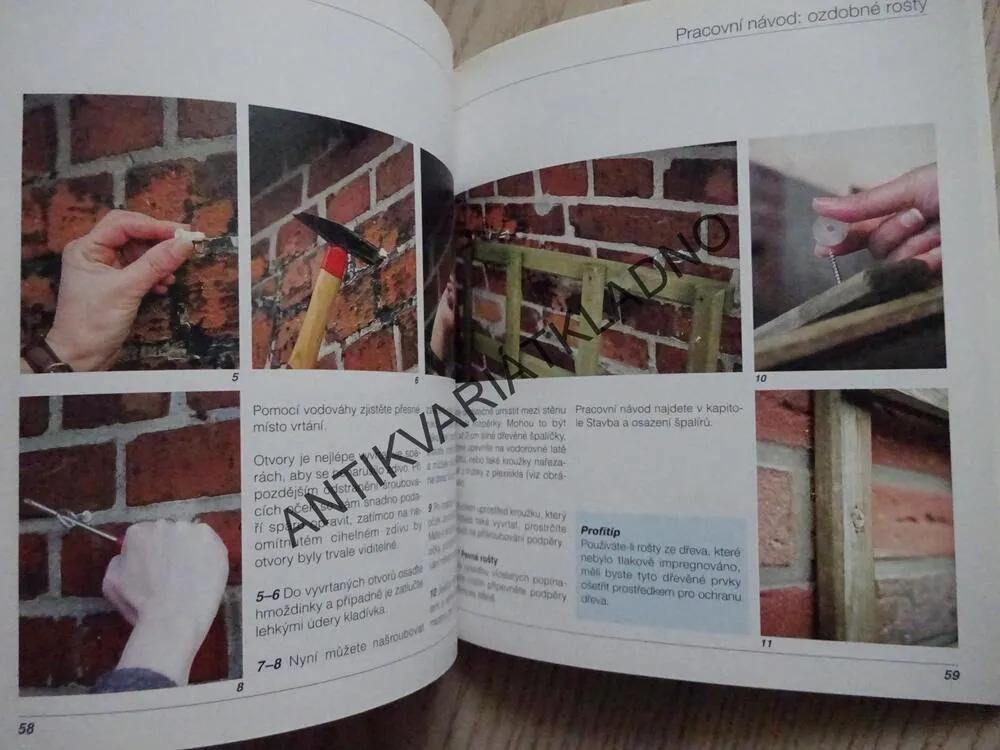 PERGOLY, ŠPALÍRY A OBLOUKY PRO POPÍNAVÉ ROSTLINY, KROK ZA KROKEM, **an