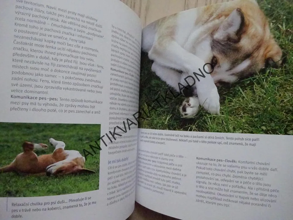 CO NÁM ŘÍKÁ PES?, KARHARINA SCHLEGL-KOFLER, **an