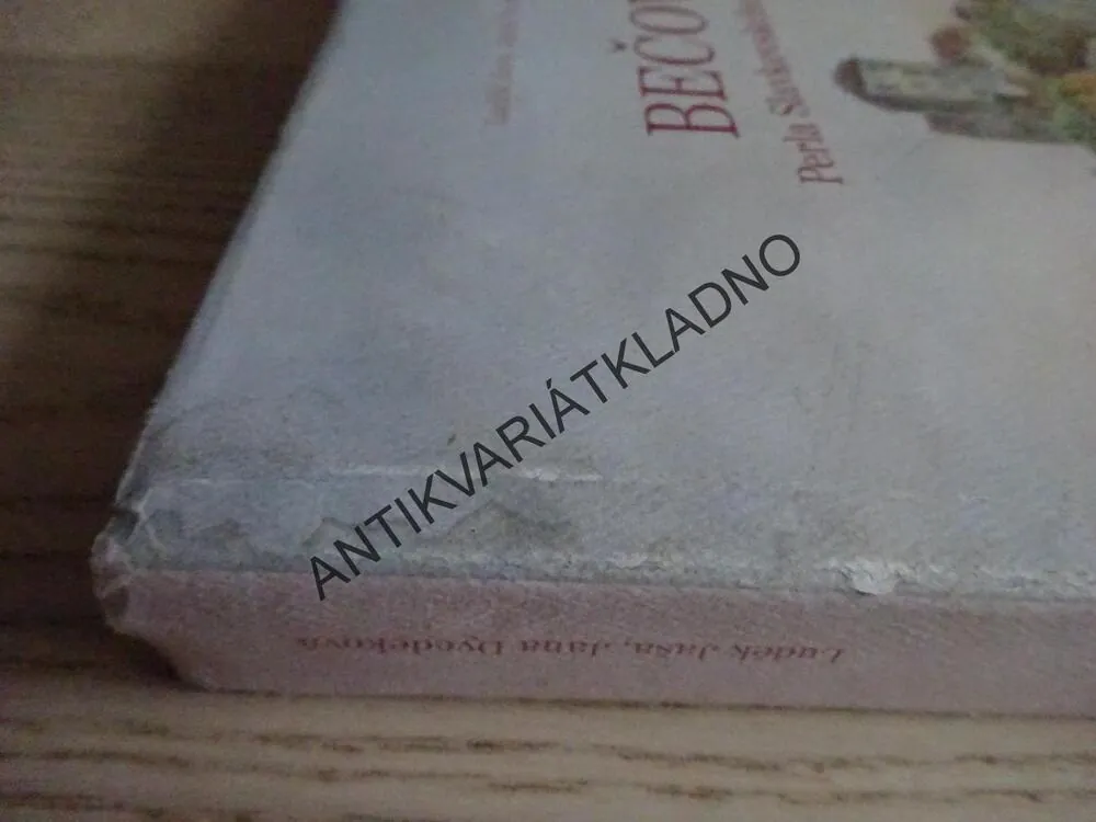 BEČOV - PERLA SLAVKOVSKÉHO LESA, LUDĚK JAŠA, JANA DYEDEKOVÁ, **an