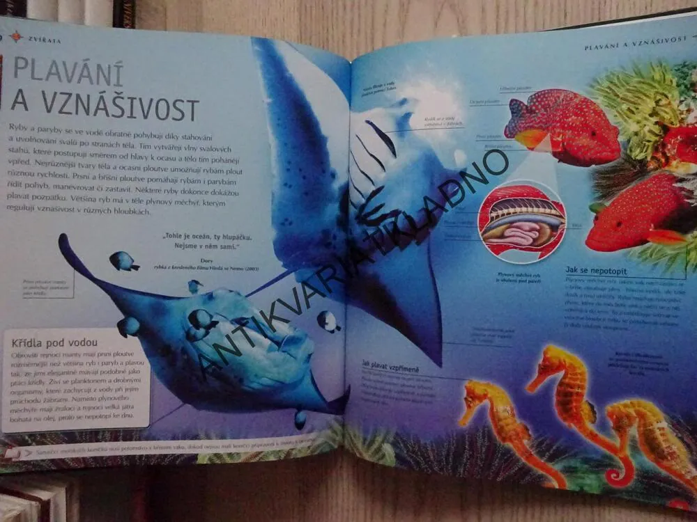 ZVÍŘATA, **an