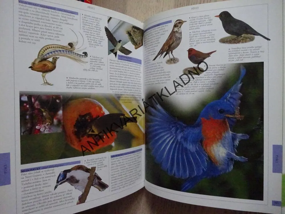 SVĚT ZVÍŘAT, VELKÁ OBRAZOVÁ ENCYKLOPEDIE, **an