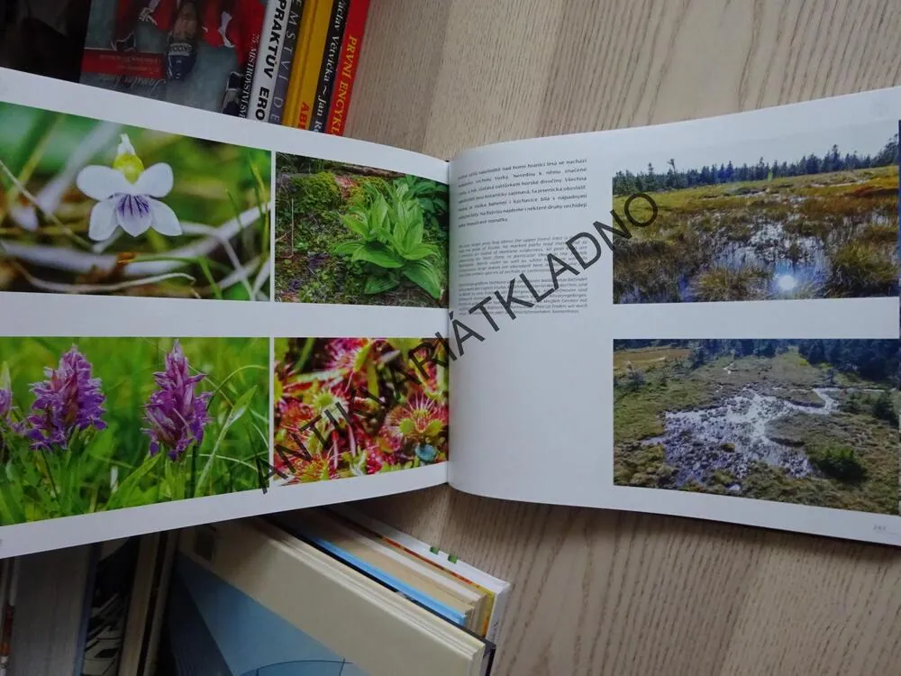 KRAJINOU DOMOVA, PETR KREJČÍ, **an