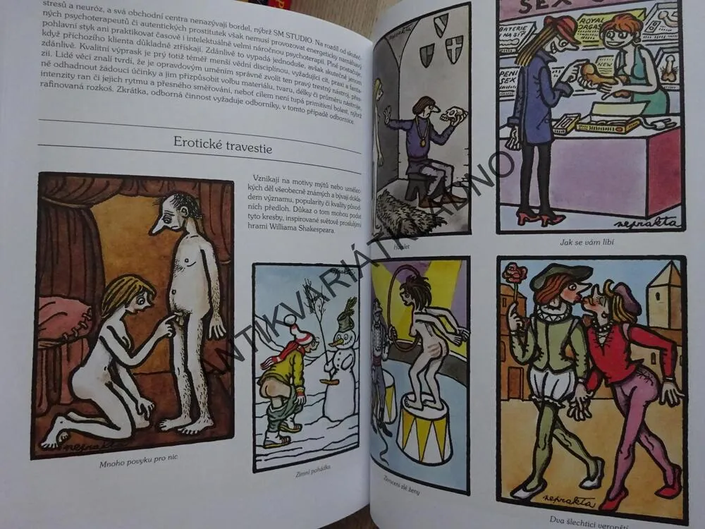 NEPRAKTŮV EROTICKÝ DEPOZITÁŘ, LADISLAV BEZDĚK, NEPRAKTA, **an