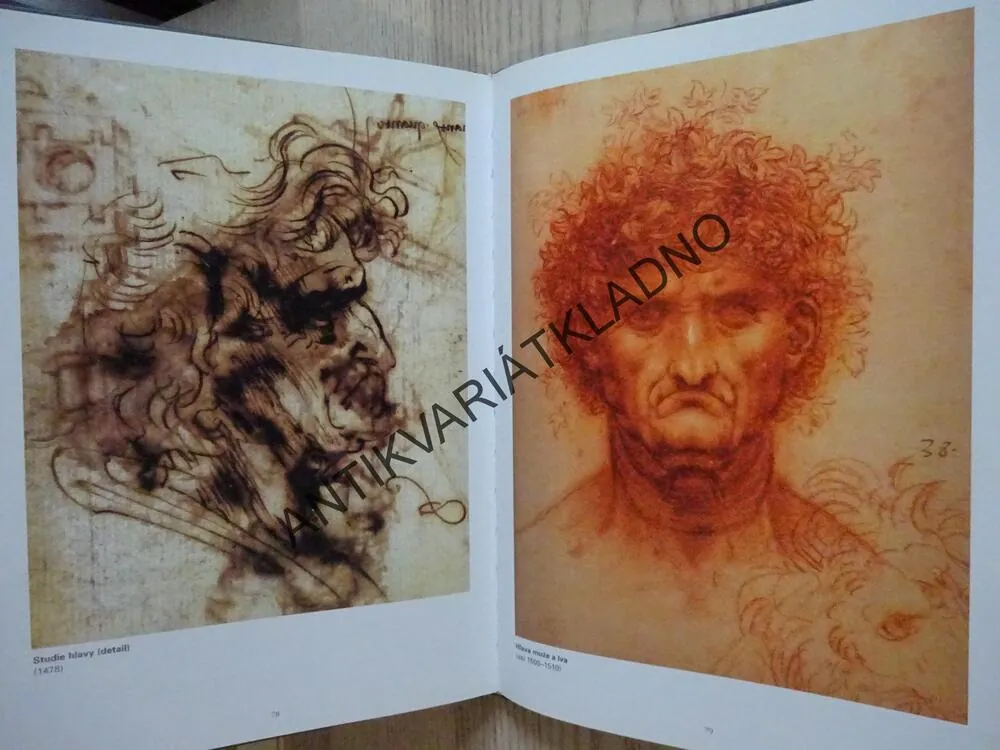 ŽIVOT A DÍLO MISTRA LEONARDA, ALFRED LUKASEY, **an