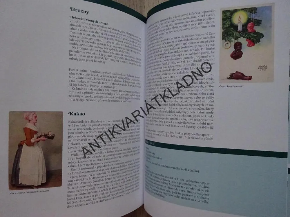 ČESKÉ VÁNOCE V KUCHYNI, PETR HERYNEK, **an