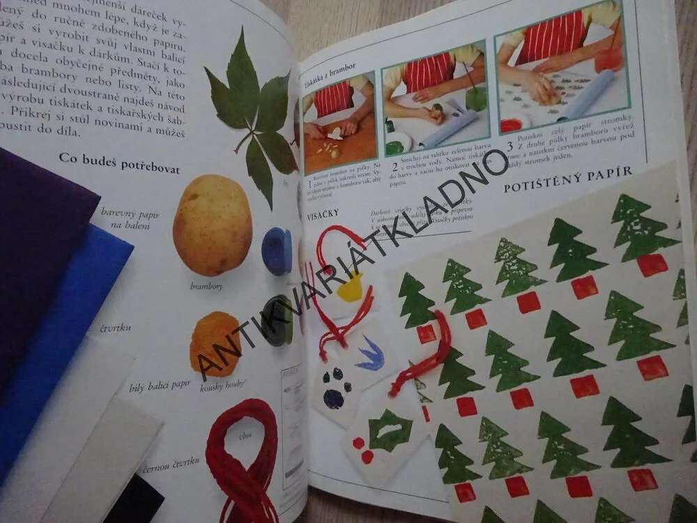 MOJE PRVNÍ KNÍŽKA NÁPADY, **an