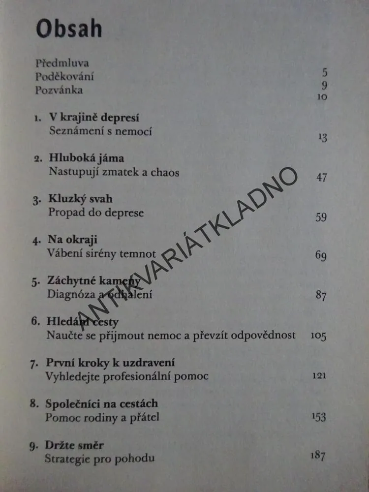 PUTOVÁNÍ S ČERNÝM PSEM, WIGNEYOVÁ, EYERSOVÁ, PARKER, **an