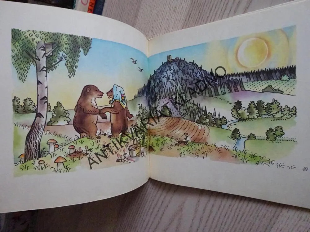 MEDVĚDÍ POHÁDKY, HANA DOSKOČILOVÁ, **an