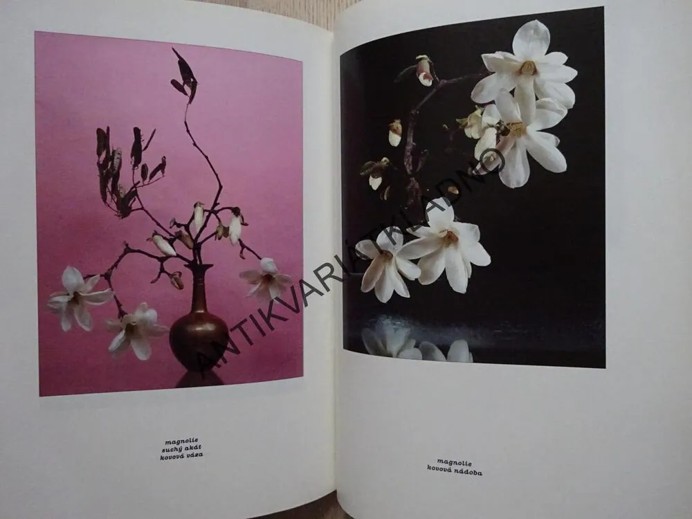 IKEBANA, DAGMAR KOŽUŠNÍKOVÁ, **an
