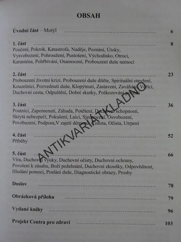 JAK SE RODÍ DUCHOVNÍ LÉČITEL, JOŽKA WENKEOVÁ, **an