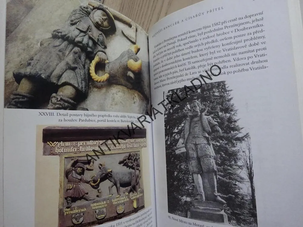 PÁNI Z PERNŠTEJNA, PETR VOREL, **an