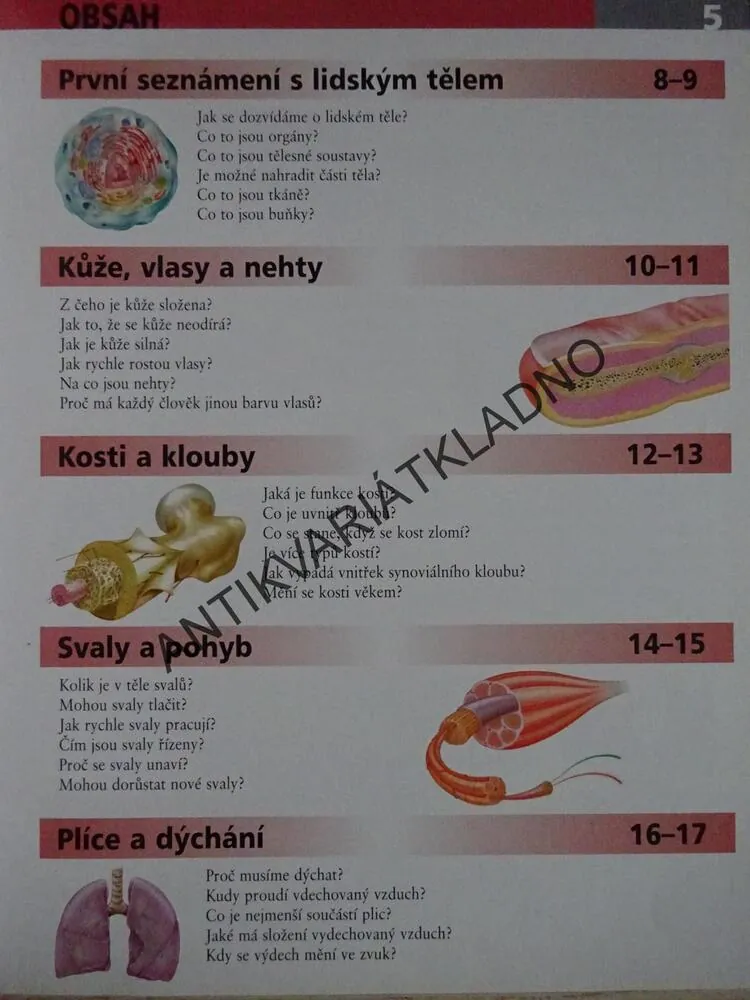 LIDSKÉ TĚLO, OTÁZKY A ODPOVĚDI, **an