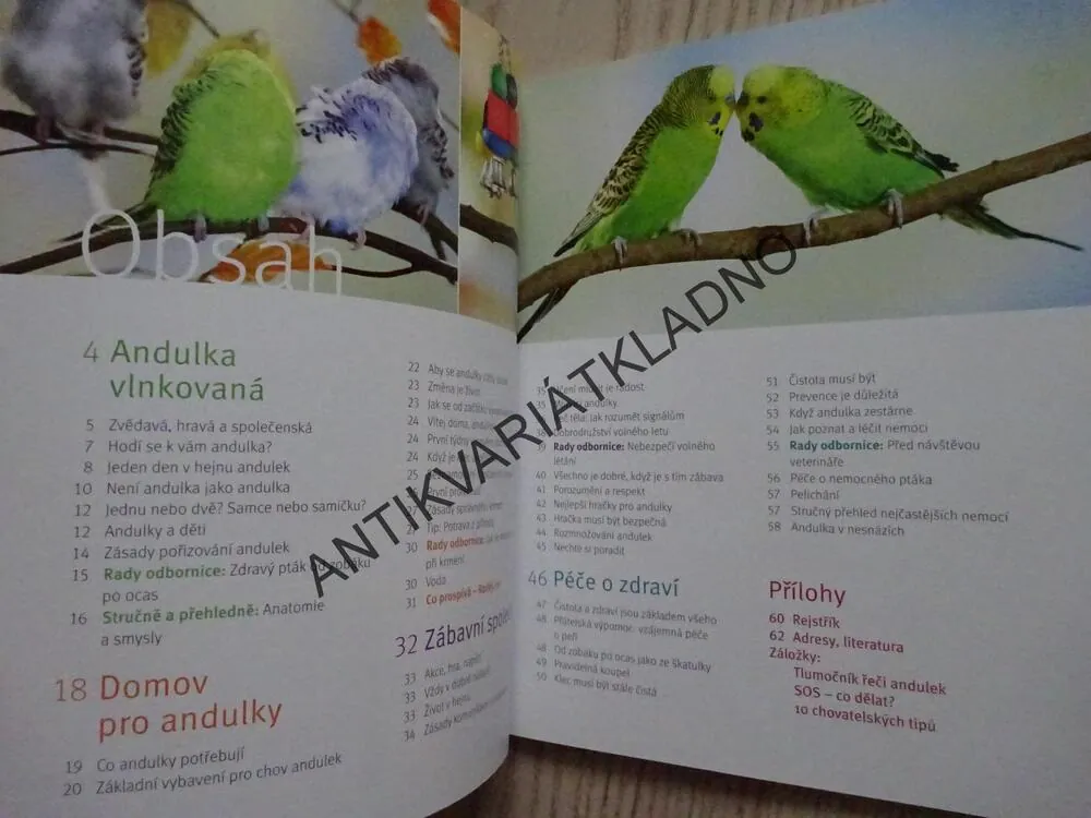 ANDULKA, HILDEGARD NIEMANN, **an