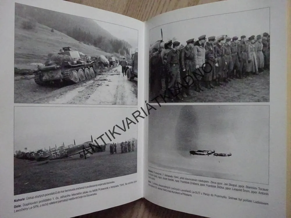 STÍHACÍ PILOT, JIŘÍ RAJLICH, JIŘÍ SEHNAL, **an 