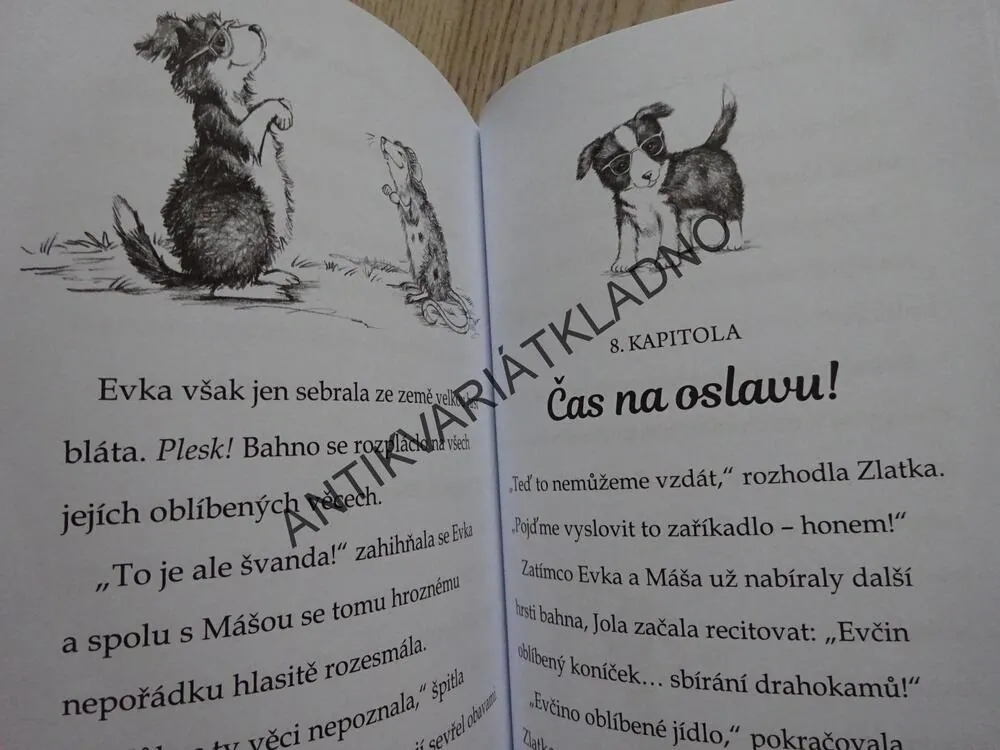 KAMARÁDKY KOUZELNÝCH ZVÍŘÁTEK, VELKÉ PŘEKVAPENÍ EVKY ŠTĚTINKOVÉ, **an