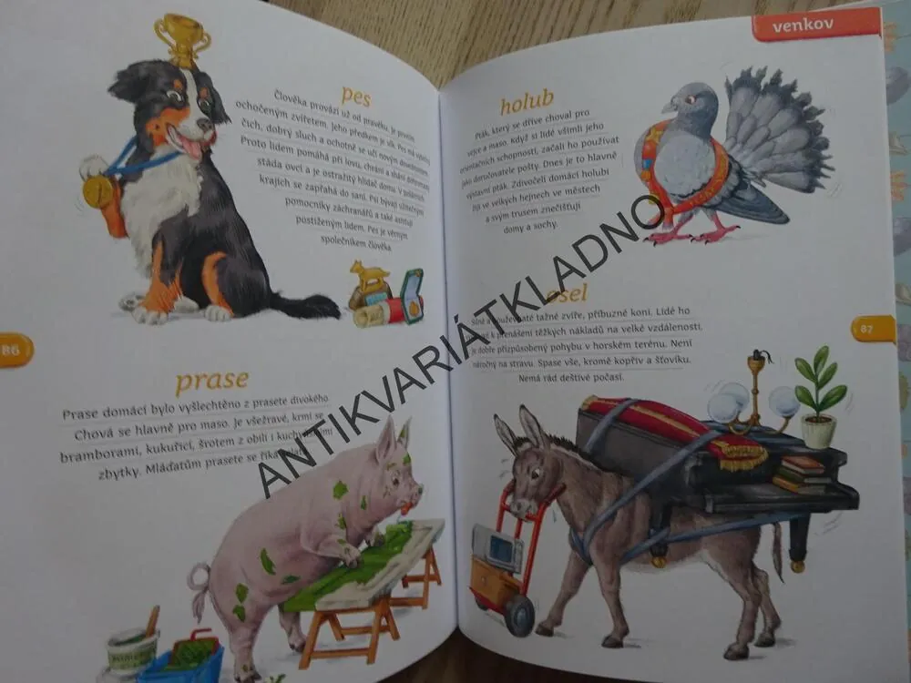 NAUČ MĚ POZNÁVAT ZVÍŘÁTKA, PAVEL PECINA, **an