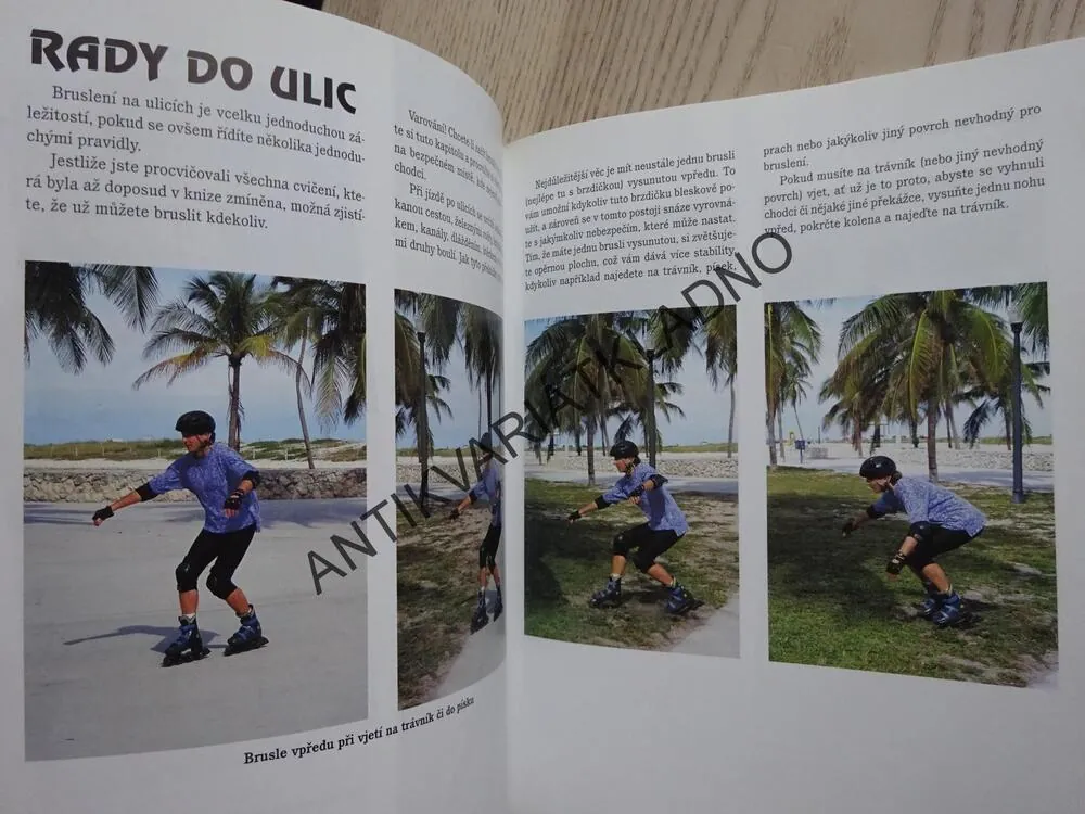 IN-LINE BRUSLENÍ PRO ZAČÁTEČNÍKY I POKROČILÉ, CAM MILLAR, **an