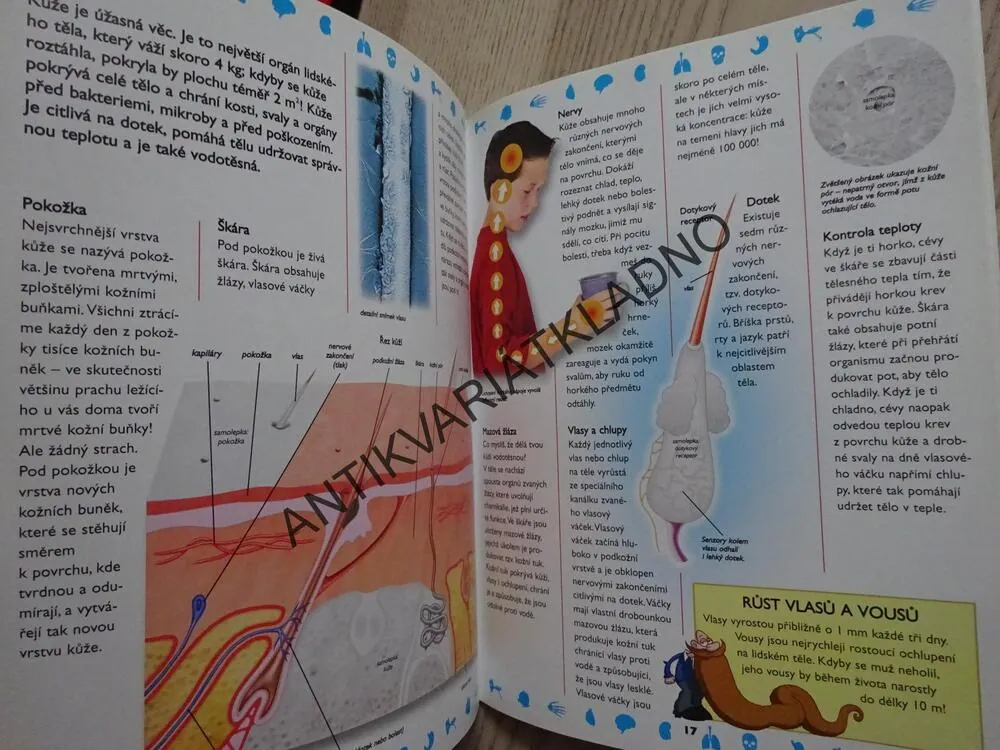 LIDSKÉ TĚLO, KNÍŽKA SE SAMOLEPKAMI, **an