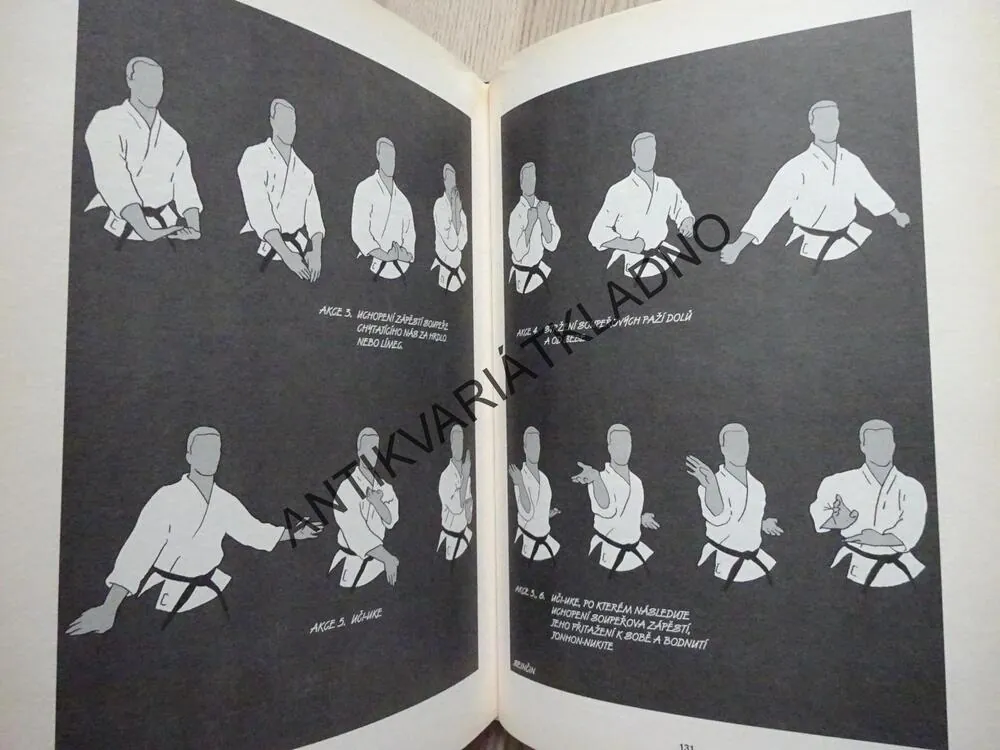 KARATE KATA, FRANTIŠEK ŠEBEJ, **an