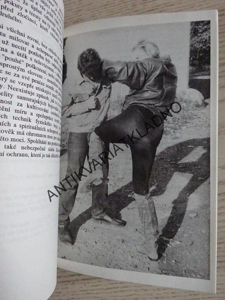 PŘEŽITÍ VE MĚSTE ANEB SEBEOBRANA TROCHU JINAK, JAROSLAV POLÁK, **an
