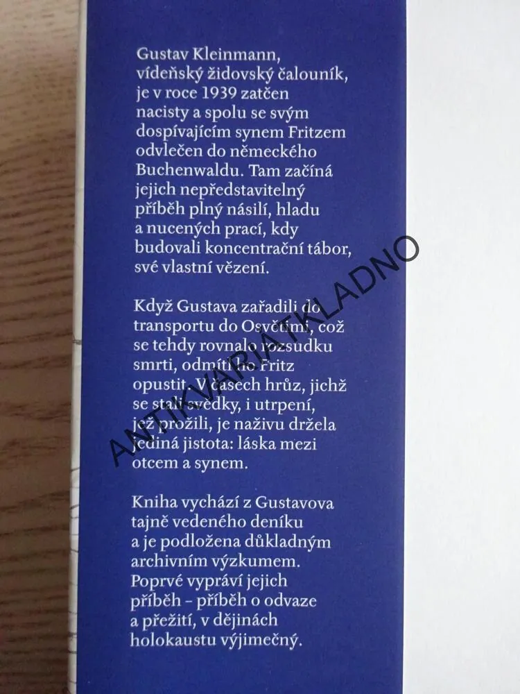 CHLAPEC, KTERÝ NÁSLEDOVAL SVÉHO OTCE DO OSVĚTIMI, JEREMY DRONFIELD, **an