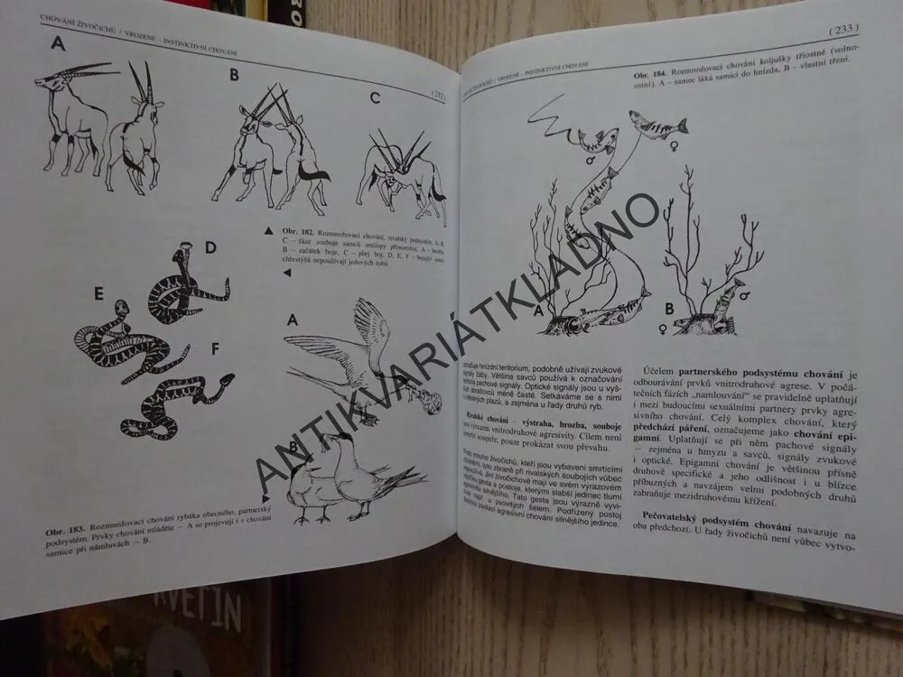 ZOOLOGIE, MIROSLAV PAPÁČEK, **an