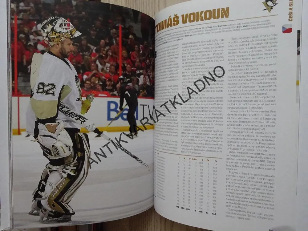 HVĚZDY NHL 2014, ČEŠI A SLOVÁCI V SEZONĚ 2012/13, LEDNÍ HOKEJ, **an