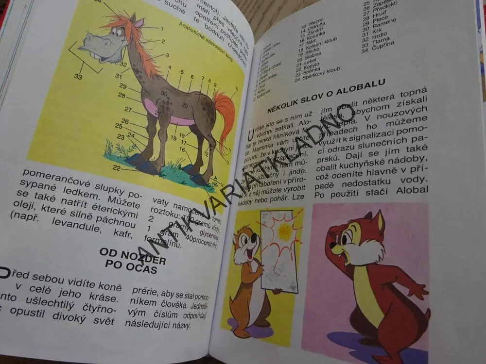 3. PŘÍRUČKA MLADÝCH SVIŠŤŮ, WALT DISNEY, **an