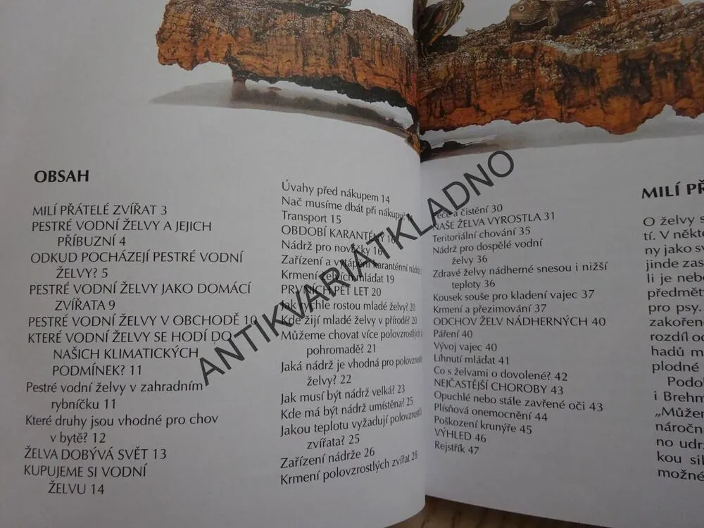 VODNÍ ŽELVY, ZVÍŘATA U NÁS DOMA, **an