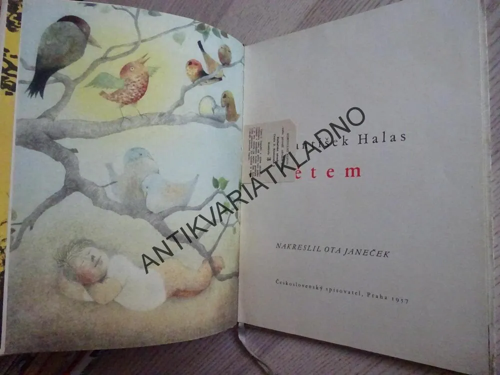 HALAS DĚTEM, OTA JANEČEK, **an