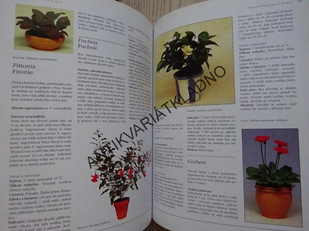 VŠE O POKOJOVÝCH ROSTLINÁCH, PETER MCHOY, **an
