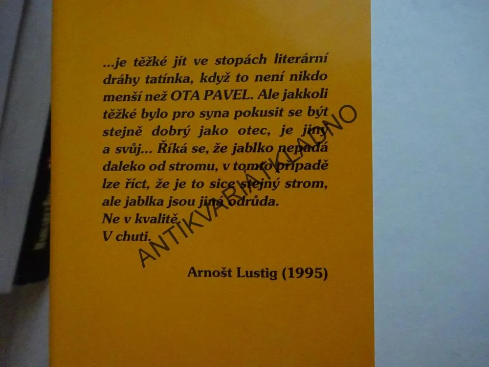 BLÁZINEC I V MÉ HLAVĚ, JIŘÍ PAVEL, **an