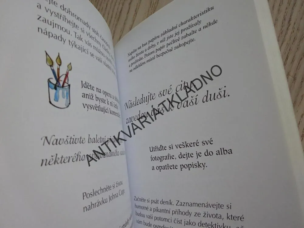 JE MI... 40, A CO MÁ BÝT?, REBECCA HALLOVÁ, **an