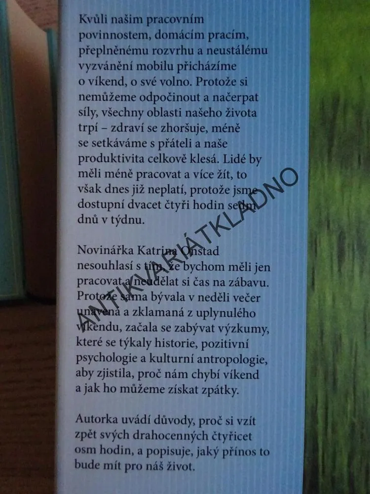 VÍKENDOVÝ EFEKT, KATRINA ONSTAD, **an