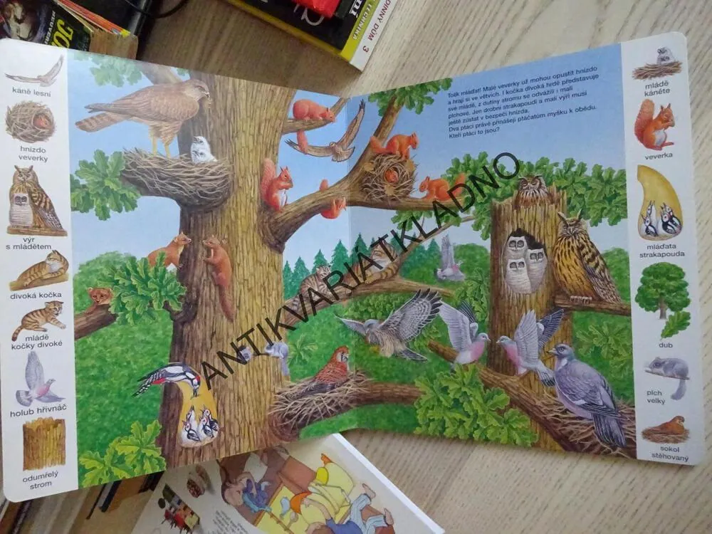 MOJE PRVNÍ OBRÁZKOVÁ KNÍŽKA, JAK BYDLÍ ZVÍŘÁTKA, **an