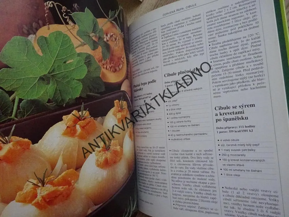 CHUTNÁ JÍDLA ZE ZELENINY, MARI LAJOSOVÁ, KÁROLY HEMZÖ, **an