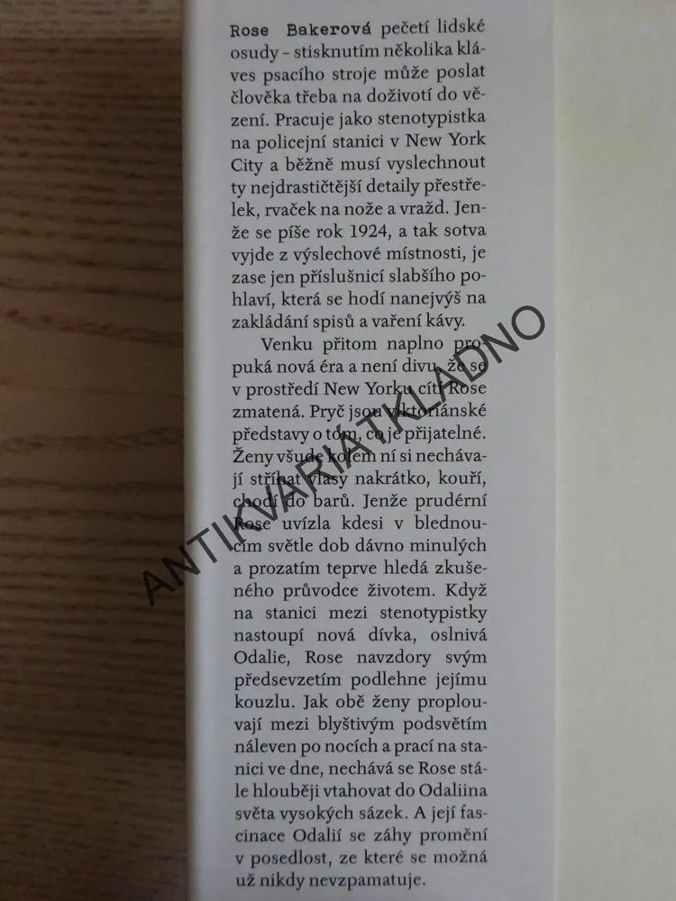 TA DRUHÁ ZAPISOVATELKA, SUZANNE RINDELLOVÁ, **an