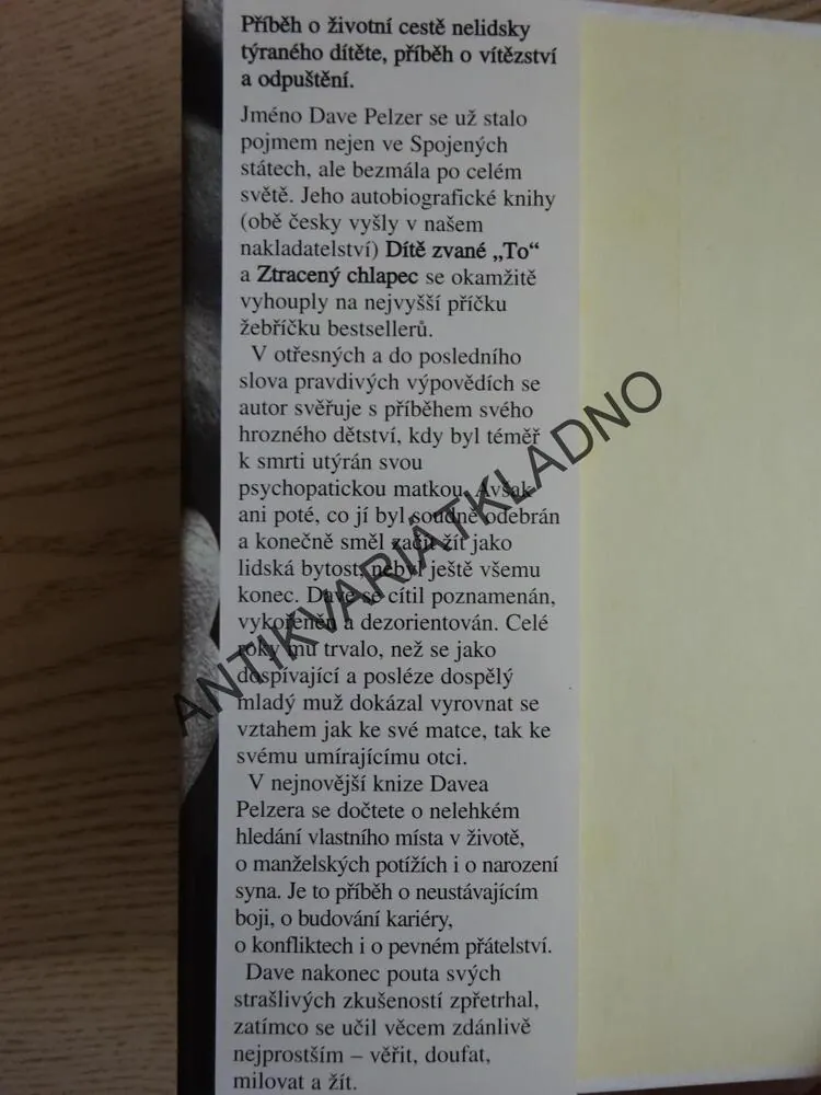 ČLOVĚK JMÉNEM DAVE, DAVE PELZER, **an